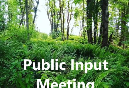 Public Input Meeting