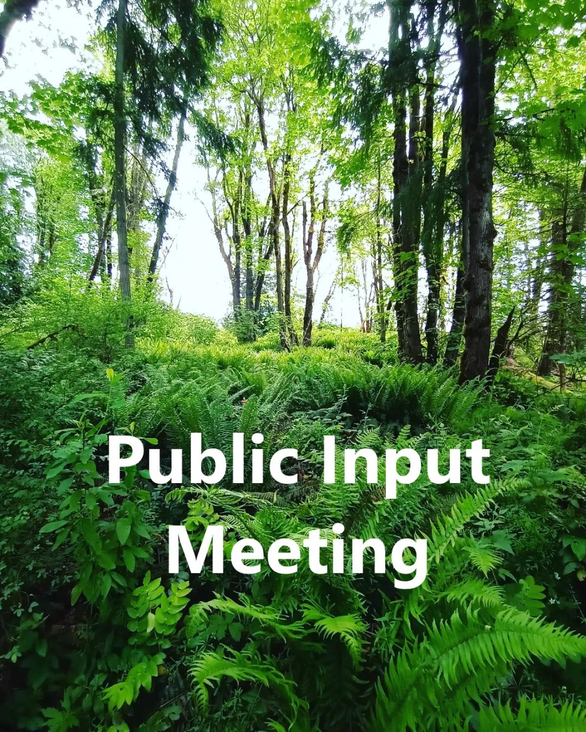 Public Input Meeting